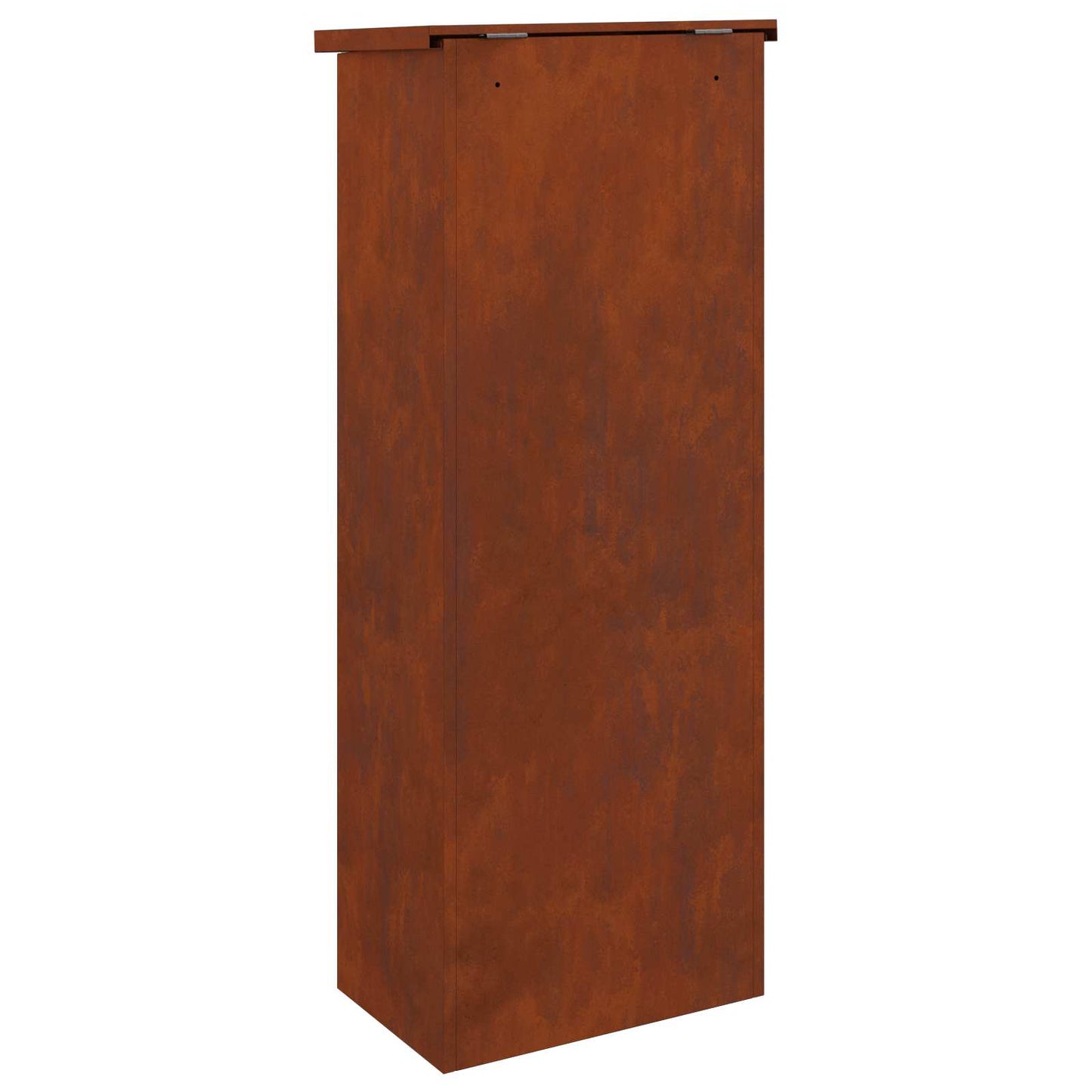 Pakkeinnkast med lagring Rusten 44,5 x 29 x 110,5 cm Cortenstål vidaXL