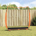 Baseball treningsnett Svart 250 x 106,5 x 210 cm Polyester