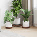 Plantestol 3 stk. Naturlig 29 x 29 x 3,5 cm Mahogni Tre