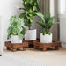 Planteholder 3 pcs Brun Mahogni Tre