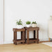 Planteholder 2 pcs Brun 70 x 11 x 27 cm Mahogni Tre