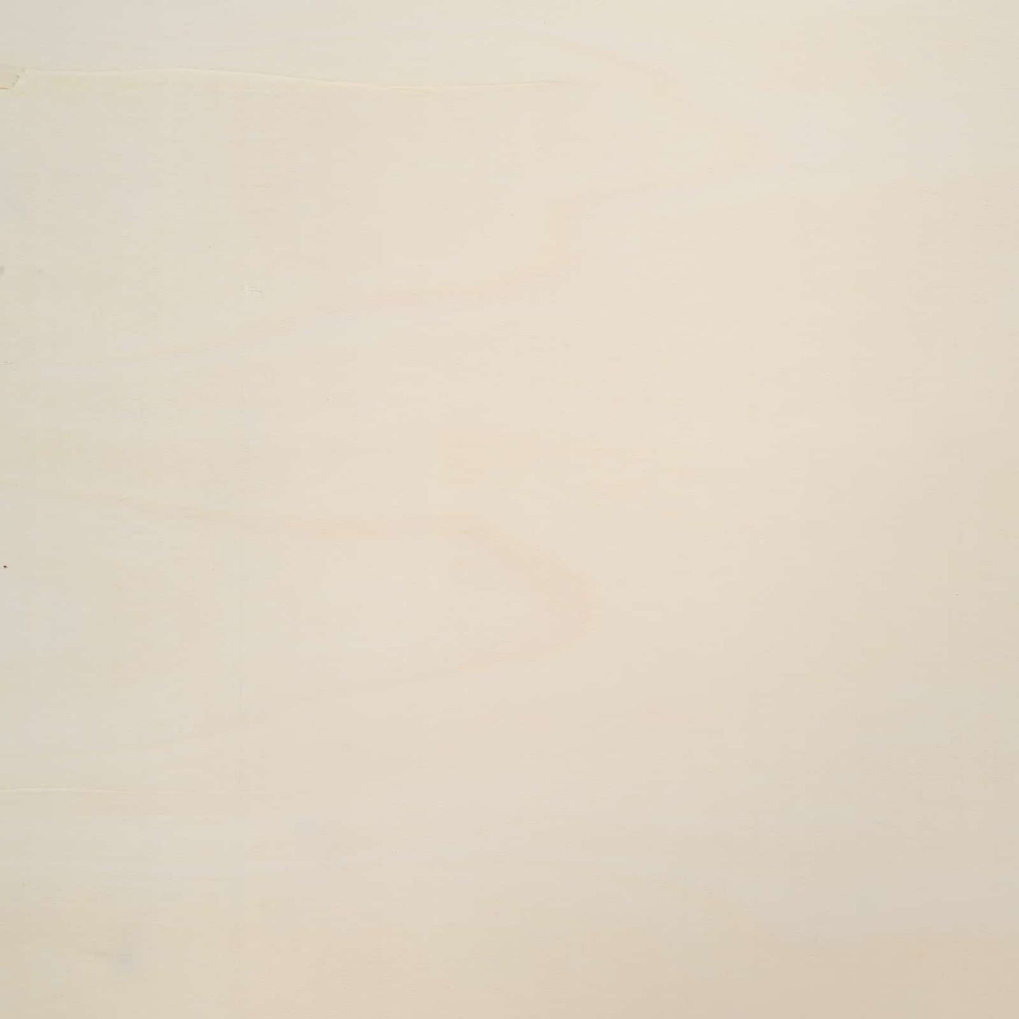 Veggdokumentdisplay Beige 30 x 4,5 x 96 cm Konstruert tre