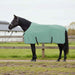 Hestepledd Spesiell grønn 165 cm Polyester