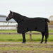 Hestepledd Svart 155 cm Polyester