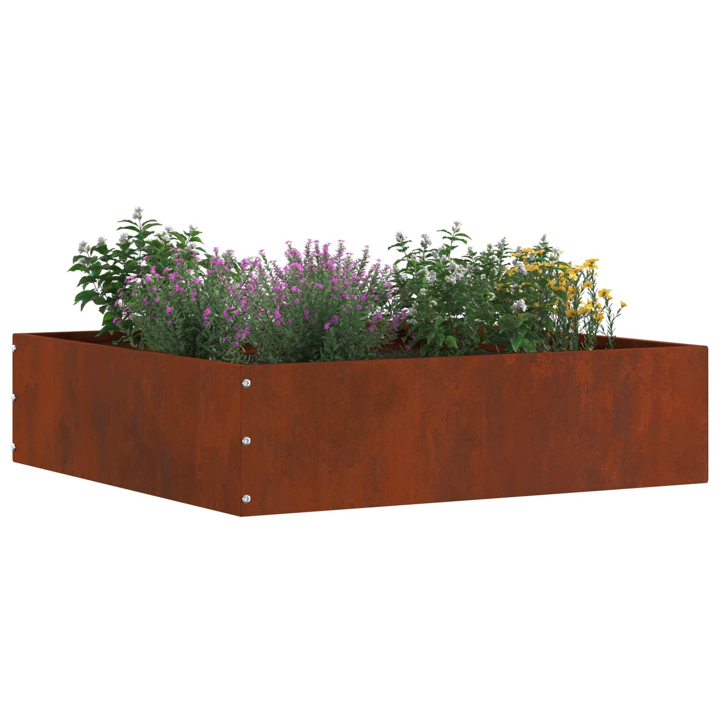 Gjerdekant 6 pcs Rusten 50 x 50 x 13 cm Cortenstål