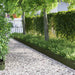 Plenkanter 10 pcs Olivengrønn 103 x 0,05 x 22 cm Stål