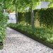 Plenkanter 30 pcs Olivengrønn 103 x 0,05 x 22 cm Stål