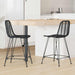 Barstol 2 pcs 44,5 x 54,5 x 97,5 cm Rattan og Jern
