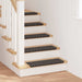 Selvlimende trappematter 15 pcs Antrasitt 65 x 21 x 4 cm