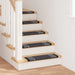 Selvlimende trappematter 15 pcs Antrasitt 65 x 21 x 4 cm