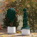 Frostbeskyttelse Plante Fleece grønn 20 x 1,6 m Uvevd Stoff