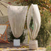 Frostbeskyttelse Plantefleece Dekker 5 pcs Beige 1,55 x 1 m