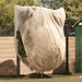 Frostbeskyttelse Plantefleece Dekker Beige 2,4 x 2 m