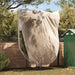 Frostbeskyttelse Plantefleece Dekker Beige 3,5 x 2,5 m