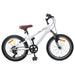 Kids Mountain Bike 20 Tommer 6-Speed for 5-8 år gamle Hvit vidaXL