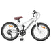 Terrengsykkel 20 Tommer 6-Speed for 5-8 år gamle Hvit
