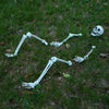 Halloween Skjelett Hvit 20 x 10 x 9.5 cm Plast