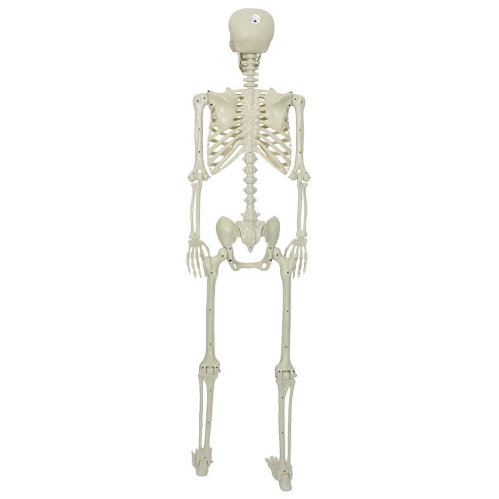 Halloween Skjelett Hvit 155 x 38.5 cm Plast