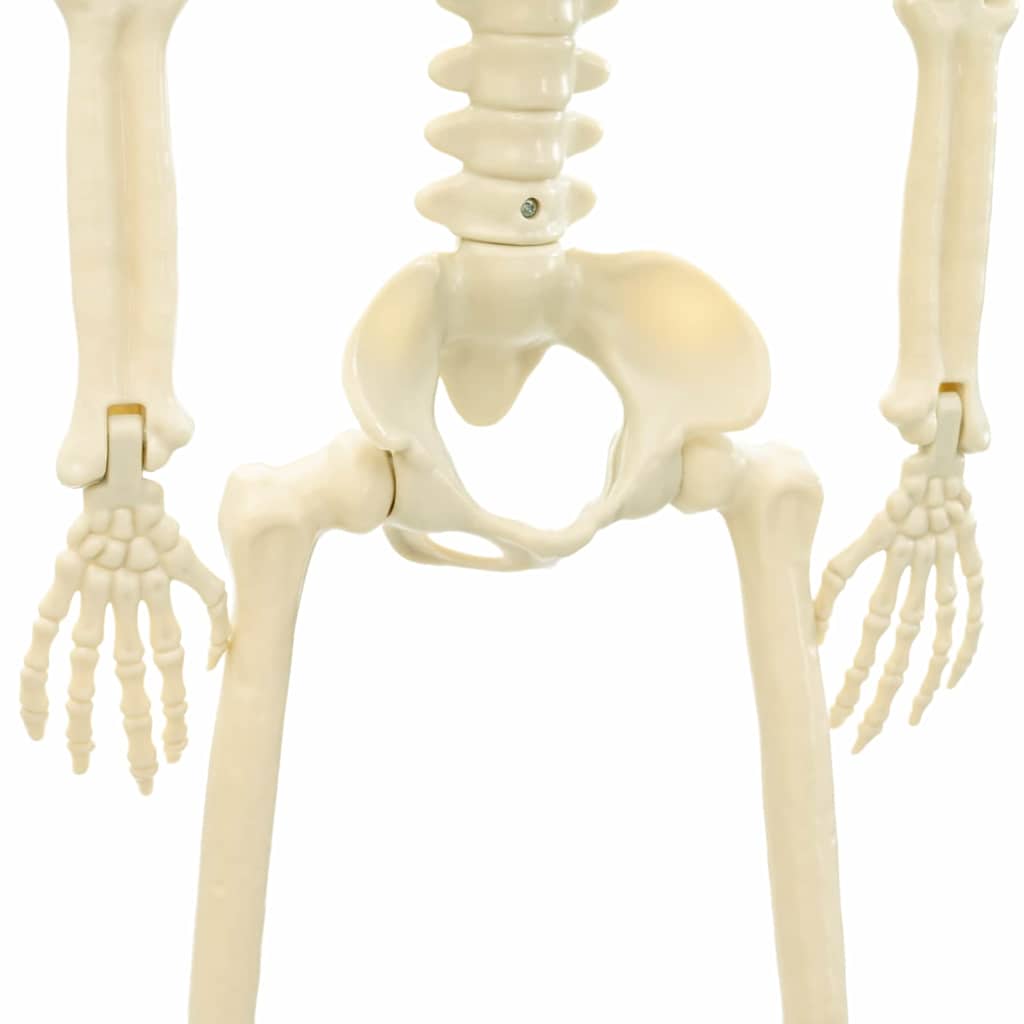 Halloween Skeleton 2 pcs Hvit 85 cm PVC
