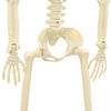 Halloween Skeleton 2 pcs Hvit 85 cm PVC