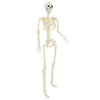 Halloween Skeleton 2 pcs Hvit 85 cm PVC