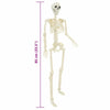 Halloween Skeleton 2 pcs Hvit 85 cm PVC