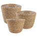 Sjøgress plantekurver 3 pcs Naturlig Ø26 x 19 cm 100% sjøgress