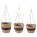 Sjøgress plantekurver 3 pcs Naturlig og svart Ø26 x 19 cm