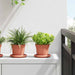 Rund Blomsterpotte 6 pcs Klinker Rød Ø 12,5 x 10 cm Plast