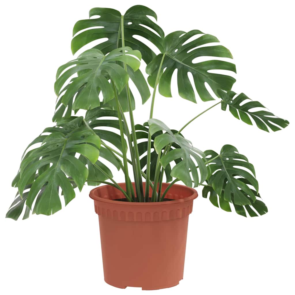 Rund Blomsterpotte 6 pcs Klinker Rød Ø 12,5 x 10 cm Plast