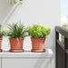 Rund Blomsterpotte 6 pcs Klinker Rød Ø 15 x 12 cm Plast