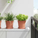 Rund Blomsterpotte 6 pcs Klinker Rød Ø 17 x 14 cm Plast