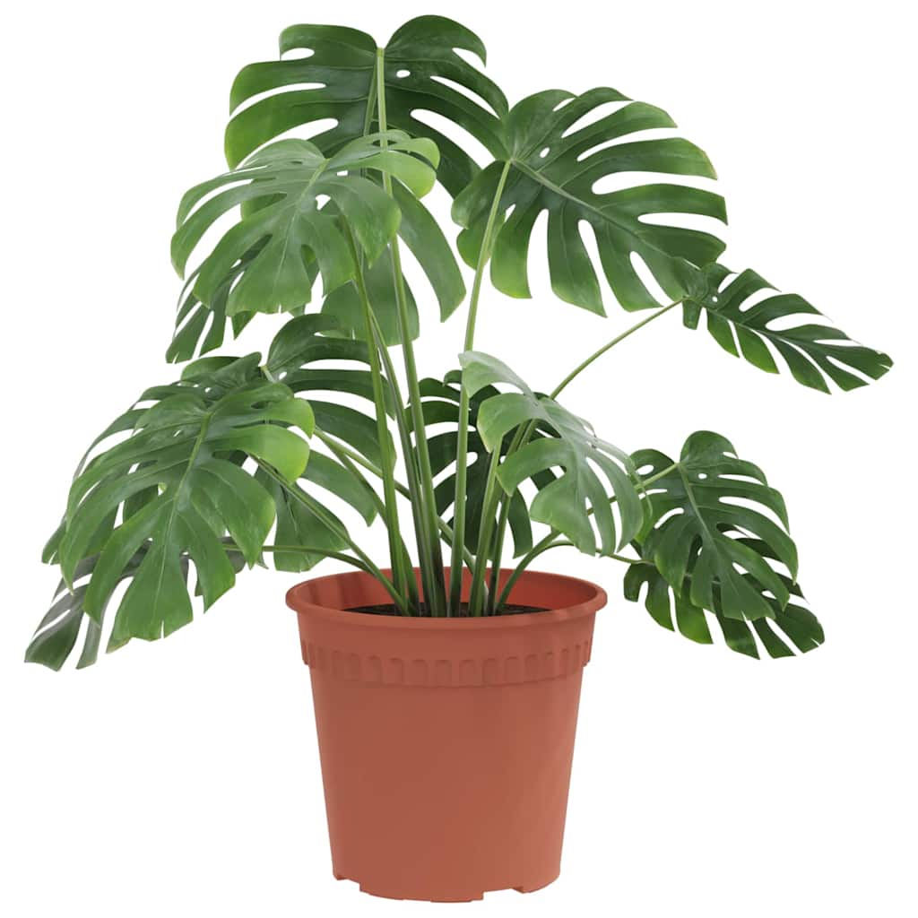 Rund Blomsterpotte 6 pcs Klinker Rød Ø 17 x 14 cm Plast