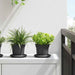 Rund Blomsterpotte 6 pcs Svart Ø 12,5 x 10 cm Plast