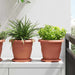 Rund Blomsterpotte 6 pcs Klinker Rød Ø 22 x 18 cm Plast