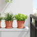 Rundt Blomsterbrett 24 pcs Klinker Rød Ø 14 x 2 cm Plast