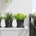 Rundt Blomsterbrett 24 pcs Svart Ø 14 x 2 cm Plast