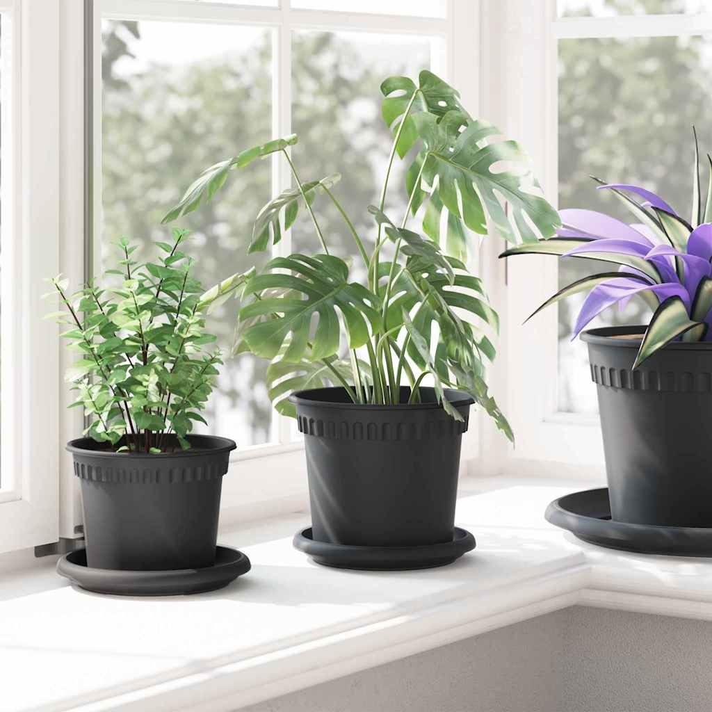 Rundt Blomsterbrett 24 pcs Svart Ø 14 x 2 cm Plast
