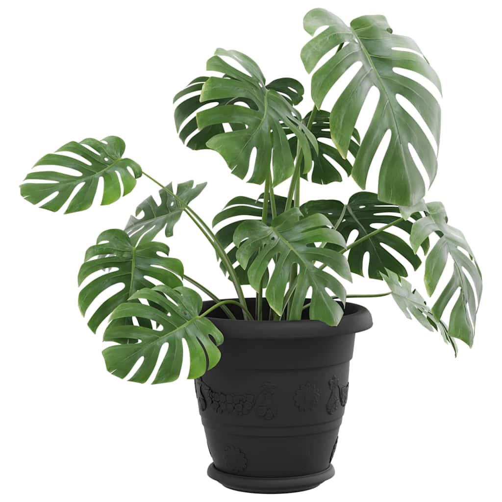 Rundt Blomsterbrett 24 pcs Svart Ø 17,5 x 2 cm Plast