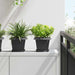 Firkantet Blomsterpotte 6 pcs Svart 20 x 20 x 16 cm Plast