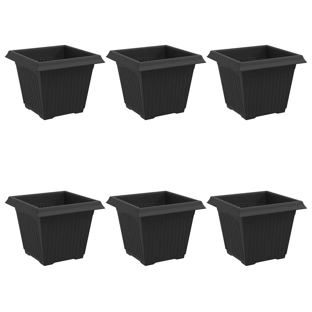 Firkantet Blomsterpotte 6 pcs Svart 20 x 20 x 16 cm Plast