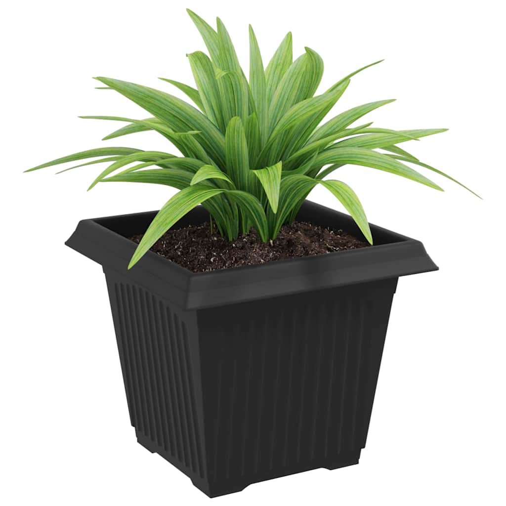 Firkantet Blomsterpotte 6 pcs Svart 20 x 20 x 16 cm Plast