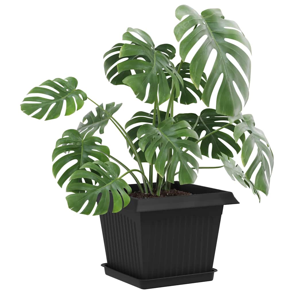 Firkantet Blomsterbrett 6 pcs Svart 18 x 18 x 2 cm Plast