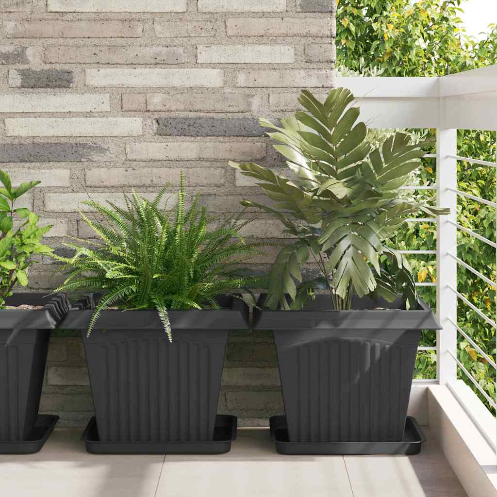 Firkantet Blomsterbrett 24 stk. Svart 36 x 36 x 2,5 cm Plast