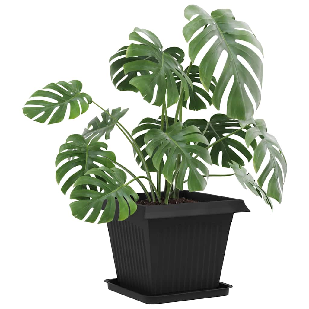 Firkantet Blomsterbrett 24 stk. Svart 36 x 36 x 2,5 cm Plast