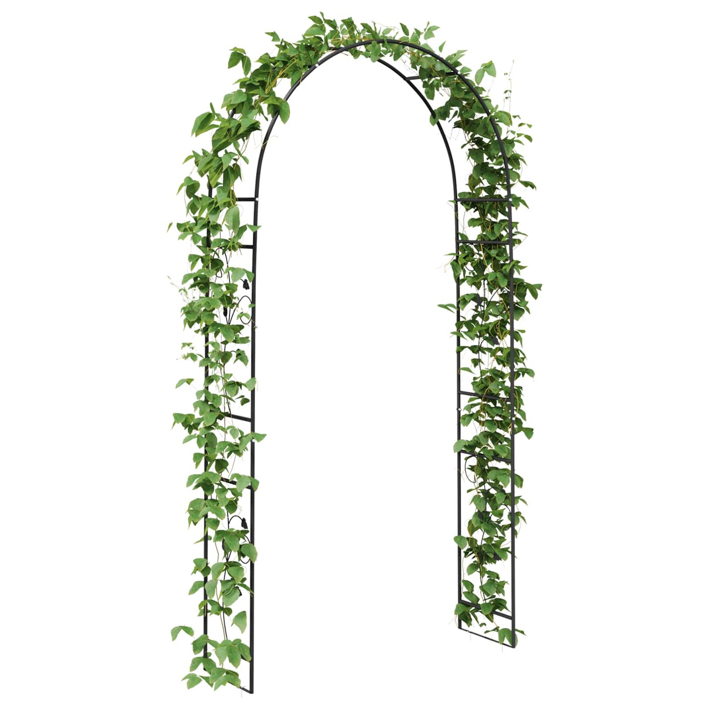 Hagebue Blomster Svart 115 x 37 x 231 cm