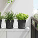 Plantepotter 24 pcs Svart Ø 19 x 16 cm Plast