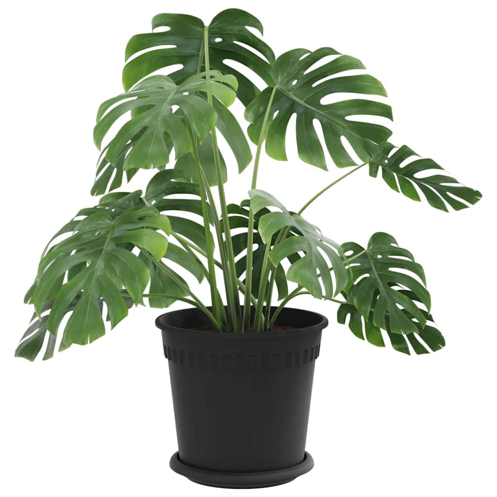 Plantepotter 24 pcs Svart Ø 19 x 16 cm Plast
