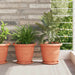 Plantepotter 6 pcs Klinker Rød Ø 26 x 21.5 cm Plast