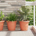 Plantepotter 6 pcs Klinker Rød Ø 26 x 21.5 cm Plast vidaXL